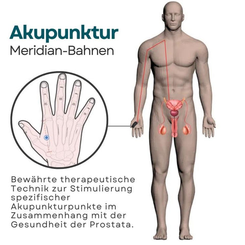 AcuPlus ™ Prostata-Pflegepunkt Clip