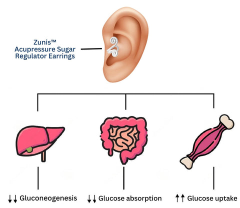 Pendientes reguladores de azúcar de acupresión Zunis™