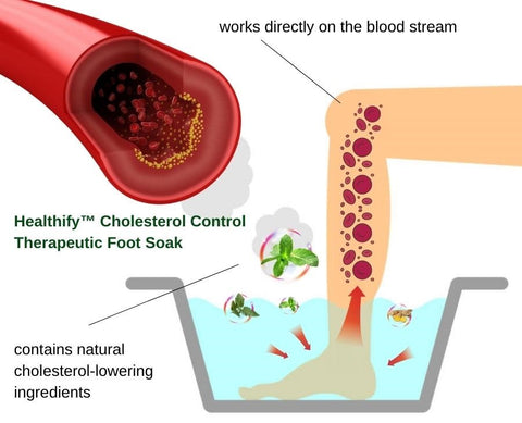 Healthify™ Cholesterol Control Therapeutic Foot Soak
