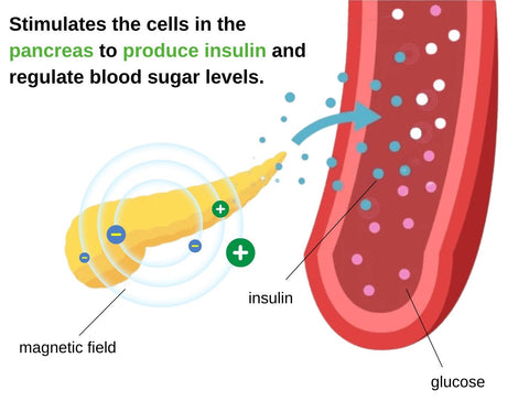 GluControl™ Sugar Regulating Patch