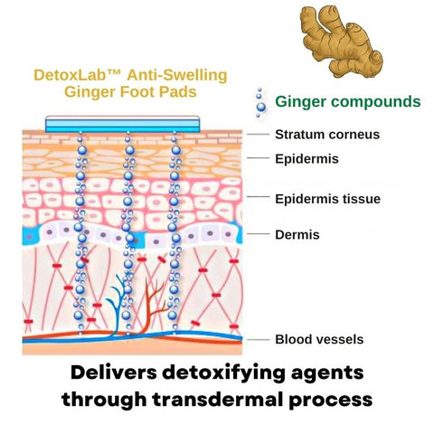 DetoxLab™ Anti-Swelling Ginger Foot Pads

