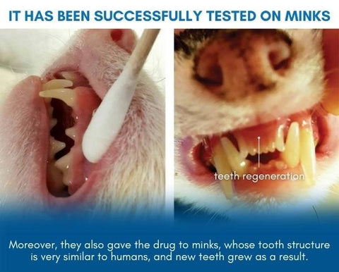 AEXZR™ Shark Cartilage Protein Dental Regrowth Drops