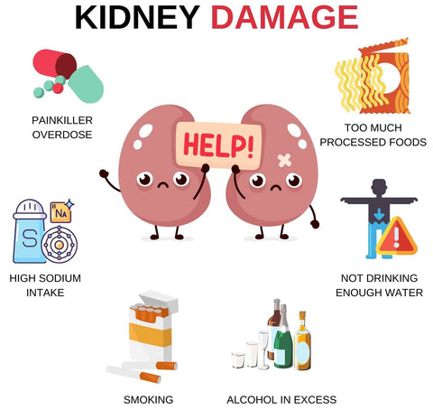 NatureCleanse™ Kidney Support Herbal Effervescent Tablets