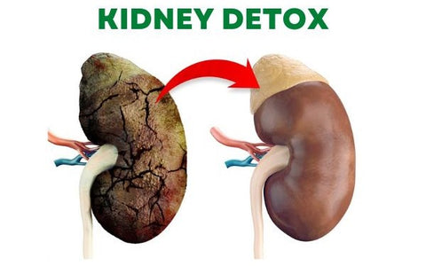 NatureCleanse™ Kidney Support Herbal Effervescent Tablets 