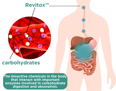 Revitox™ Fat Burning Detox Oral Spray