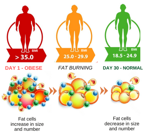 AEXZR™ Caffeine Slimming Cream