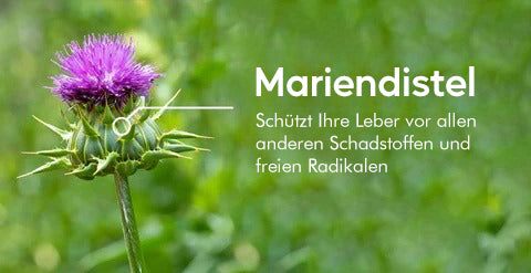 Gutdp™ Naseninhalator