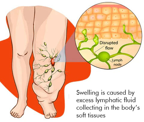 Zunis™ Thermotherapie-Detox-Fußkettchen