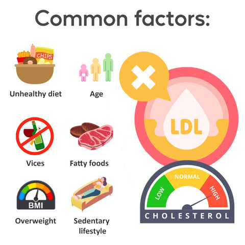 MediCare™ Cholesterol Control Drops