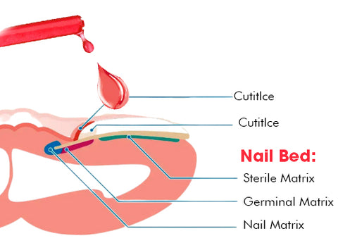 Nailcare™ Ingrown Toe Nail Drops 