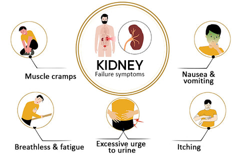 MediCare™ Kidney Boost Drops 