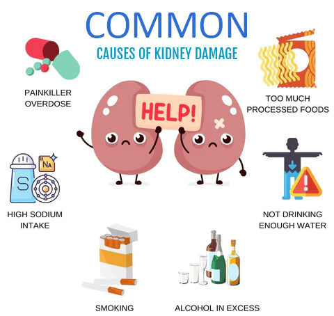 Medix™ Kidney Care Cream