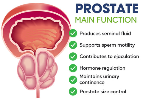CC™ Prostate Treatment Drops 