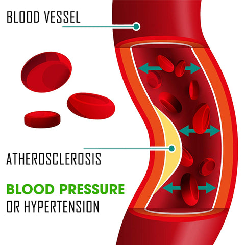 Healthify™ Blood pressure Regulator Drop