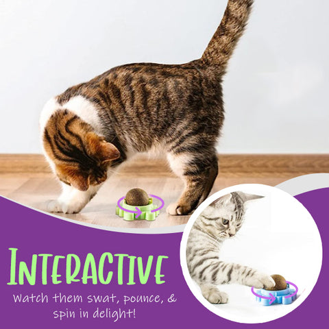 I-AEXZR™ Deluxe Catnip Wall Ball