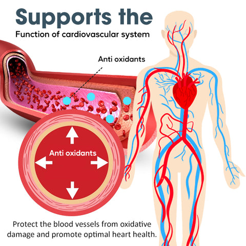 MediCare™ Cholesterol Control Drops