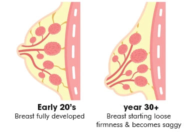 Breast Plumping & Lifting Essential Oil
