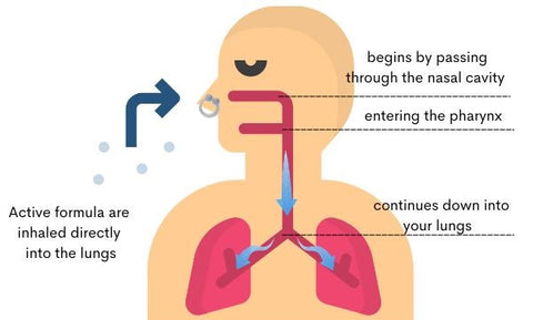 LungCare™ Cleansing Nose Ring