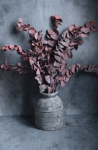 Preserved eucalyptus bouquet red