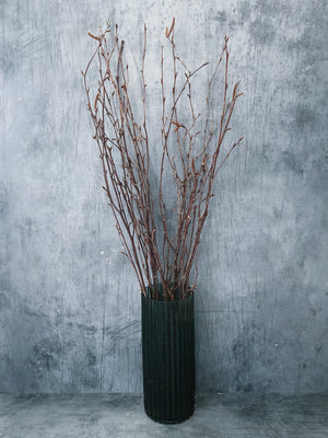 Dried Birch Twigs, DRIED Limited