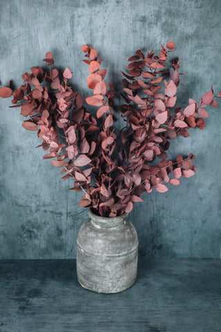 Preserved eucalyptus bunch - red