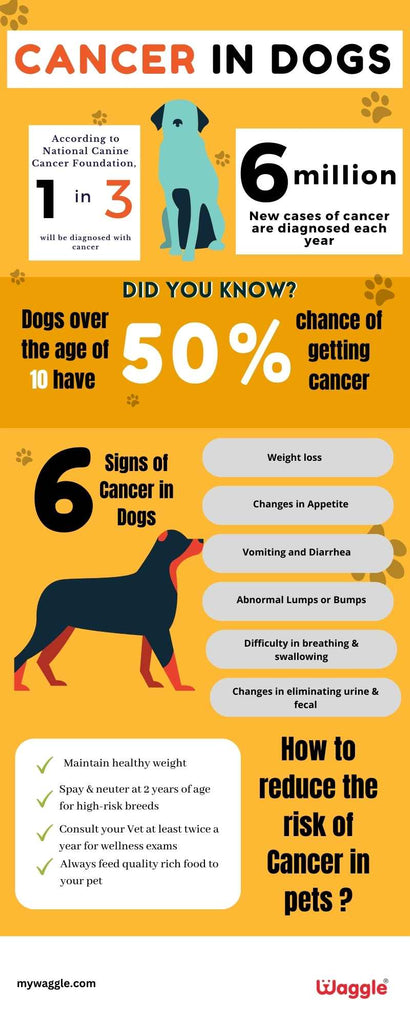 Cancer in Dogs | Signs of Cancer in Dogs | Waggle®