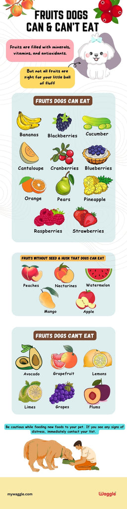 fruits dogs can eat chart
