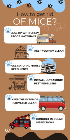 Essential Tips to Keep Mice Out of Your RV