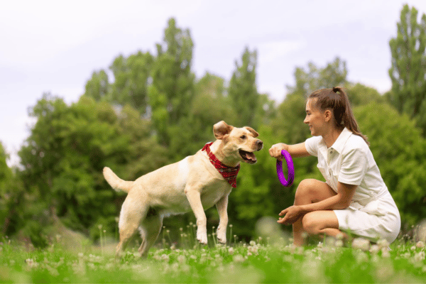 outdoor adventure with dog