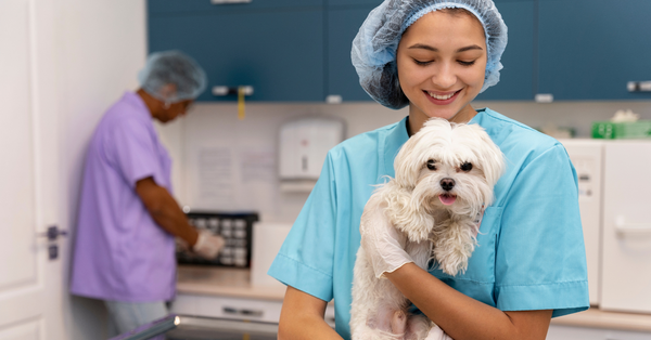 Regular Vet care