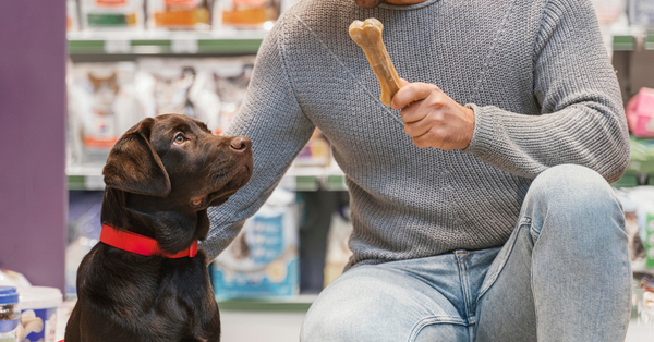 Giving treat to your dog