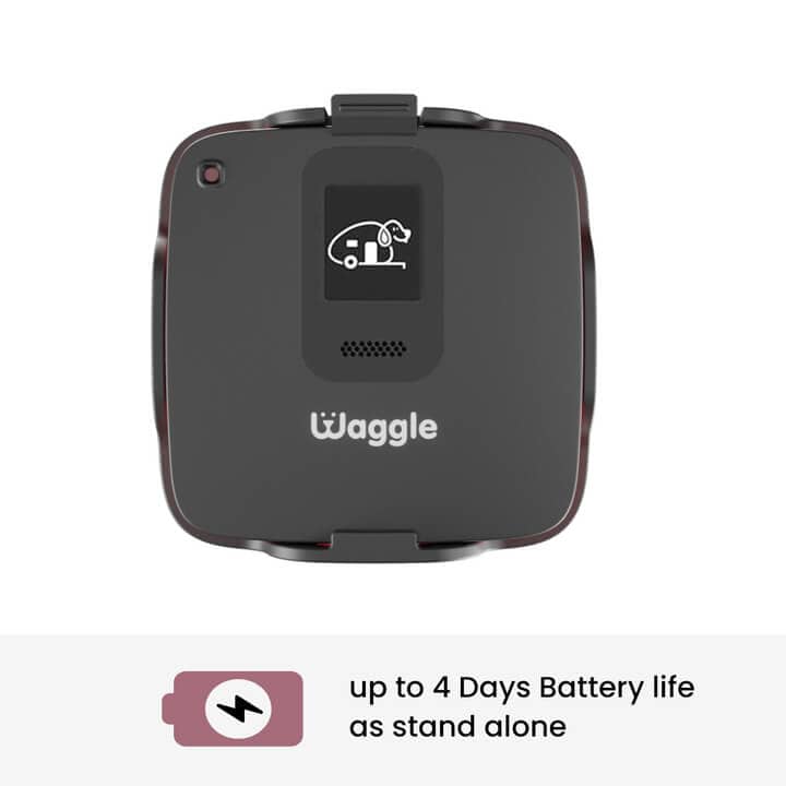 Waggle Pet Monitor- Exclusive Deal