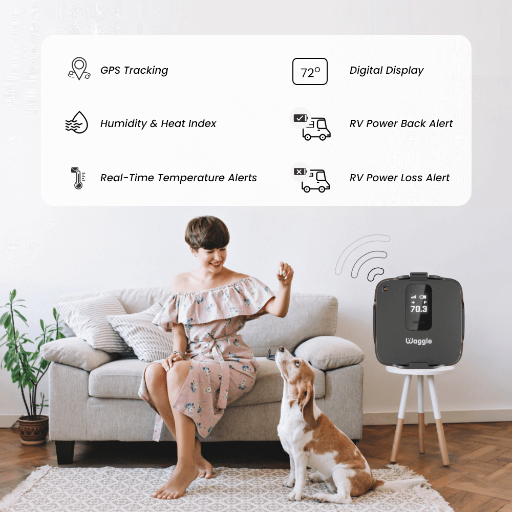 Waggle k9 Temperature Monitor