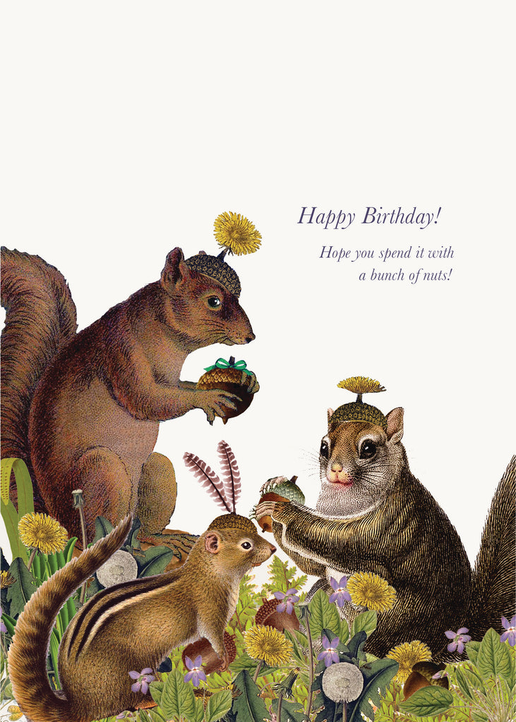 happy-birthday-squirrel-5x7-greeting-card-p-flynn-design