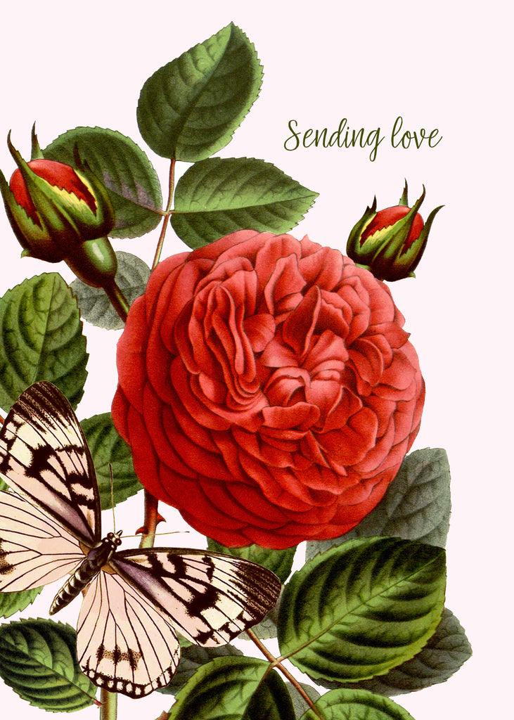 Sending Love • 5x7 Greeting Card
