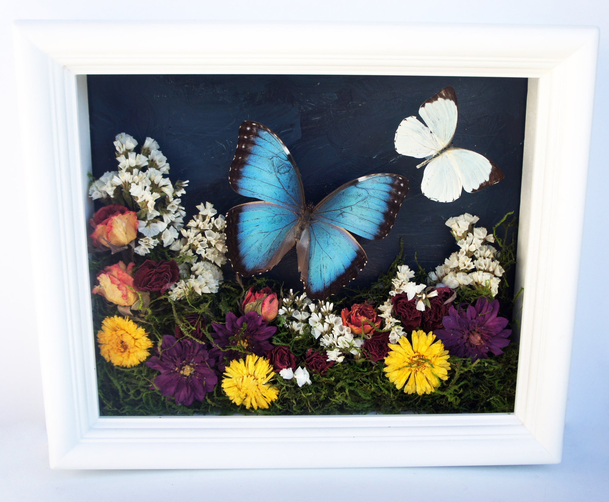 butterfly flower shadow box