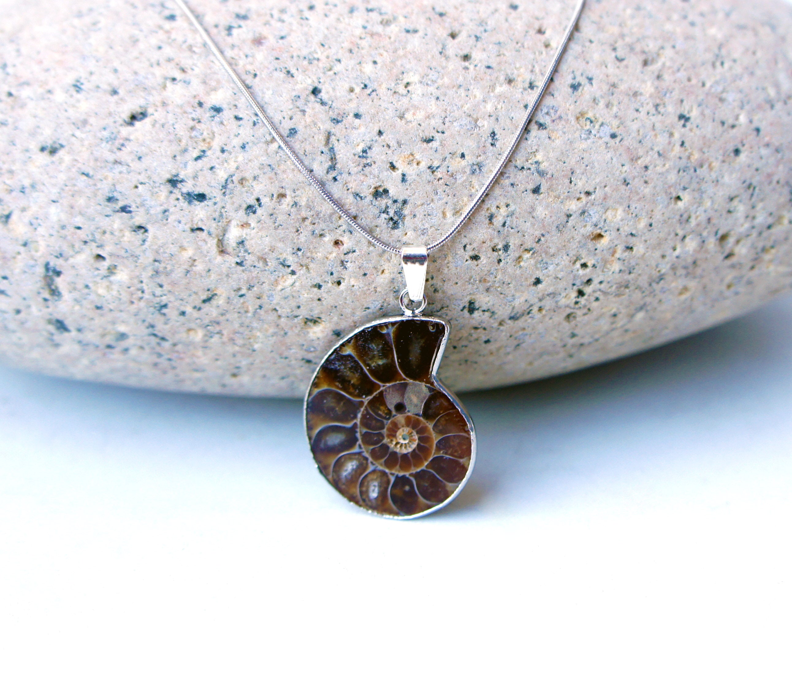 Ammonite Fossil Necklace - Nature Jewelry – Asana Natural Arts