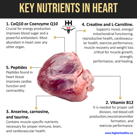 Key Beef Heart Nutrients