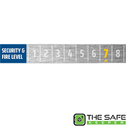 Security & Fire Level