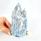 Kyanite Crystals NZ