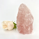 ASH&STONE Crystals NZ: rose quartz crystals NZ
