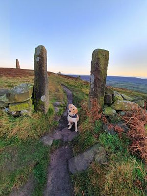 my hiking buddy