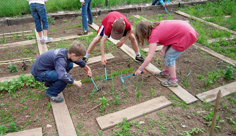 gardening at recess