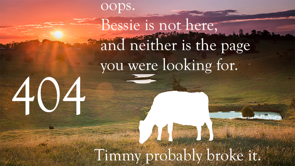 404 Timmy lost a page