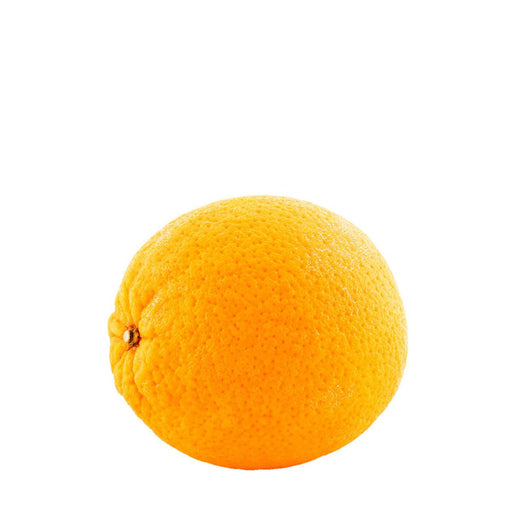 ONYX (Sunkist Orange) – avineapparel