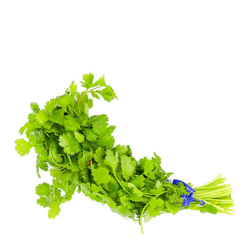 https://cdn.shopify.com/s/files/1/0422/6108/6373/products/cilantro-1-bunch-844055_512x512.jpg?v=1695655459