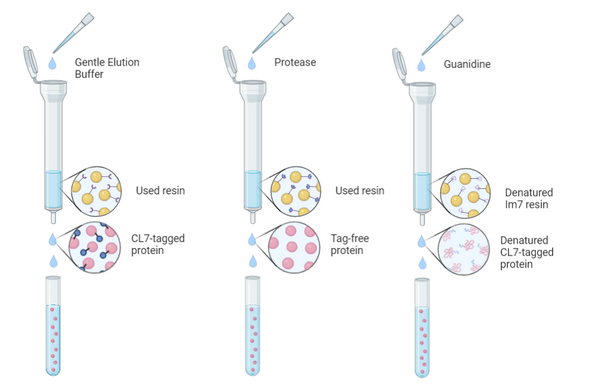 gentle elution buffer