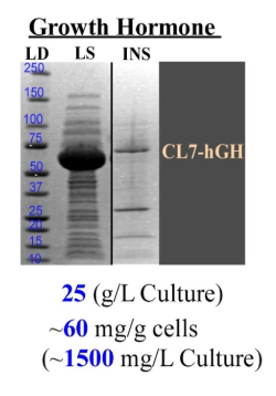 hgh insoluble vs soluble protein