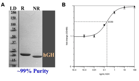 hgh diagrams