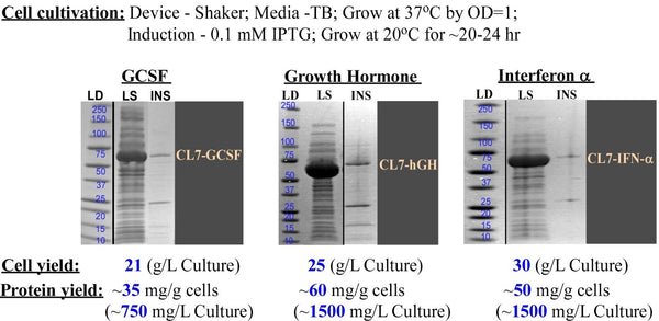 insoluble proteins